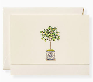 Dolce Vita Note Card Box