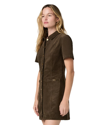 Clementine Dress w/Seams