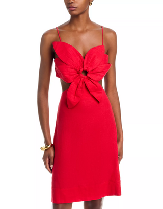 Red Flower Mini Dress