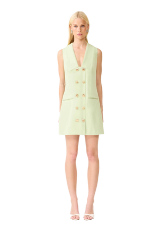 Oceara Mini Vest Dress