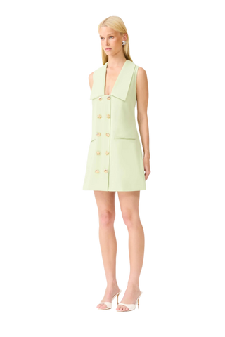 Oceara Mini Vest Dress