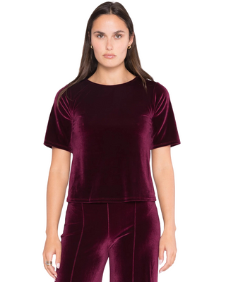 Velvet Short Sleeve Top Extended