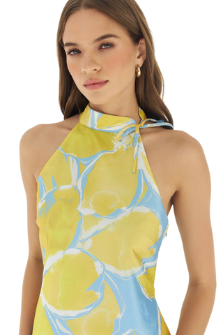 Nami Dress