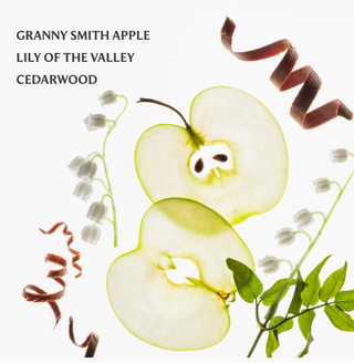 Mist Hydrating Hand Sanitizer