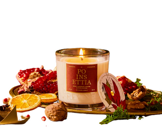 Poinsettia Candle 10oz