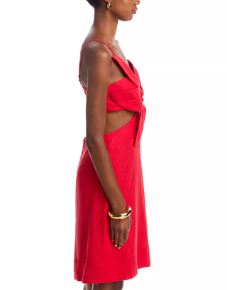 Red Flower Mini Dress