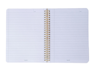 Rough Draft Mini Notebook, Before I Forget